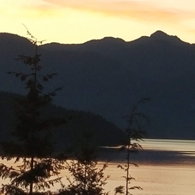 Danaintq@mastodon.world