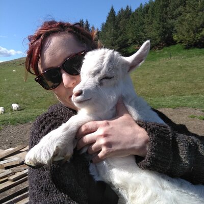 akareilly's avatar