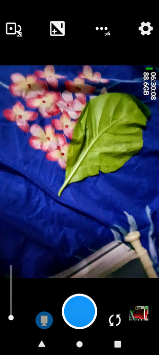 The photograph shows a close-up view of a green leaf placed on a blue fabric with a floral pattern. The leaf is prominently positioned in the center, with its veins and edges clearly visible. The background fabric features pink and white flowers with a gradient effect, adding a vibrant contrast to the green leaf. The top of the image displays camera interface elements, including icons for settings, flash, and a timer, with the time "06:30:08" and battery level "88.6%" visible. The bottom of the image includes camera controls, such as a shutter button and a circular record button, indicating that the photo was taken using a smartphone camera.

 Ovis2-8B

🌱 Energy used: 0.209 Wh