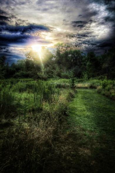 Looking across a small meadow towards a large group of trees the setting sun peeks out from behind a tree. The sky is filled with dramatic clouds and the ground shows a section of light from the sun shining through the trees.