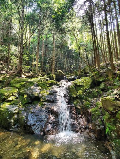 Otowa-no-taki, the perfect place for forest bathing.