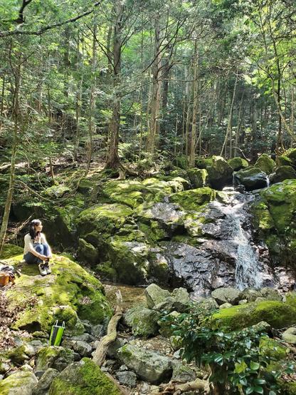 Nao-san enjoying the mossy cool of the forest.