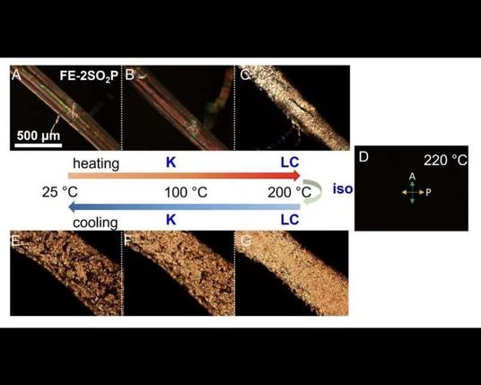[ImageSource: Science (2025) DOI: 10.1126/science.ads4702]

PLM images of the powder FE-2SO2P sample during a heating and cooling cycle.

Although the researchers are still working to improve the material's electric and elastic properties, the potential is vast for its flexibility of electronic uses and eco-friendly structure.

"How this material generates its electric properties is also fundamentally new," said lead researcher Lei Zhu, a professor of macromolecular science and engineering at the Case School of Engineering. "Unlike current ferroelectric materials, it doesn't have to crystallize to lock in the polarity that gives it electrical properties."

👾Ferroelectric polymers also have applications in sensors for ultrasound diagnostic tools because they are acoustically compatible with biological tissues. They are also potentially useful in augmented and virtual reality [AR and VR] goggles.👾

"We're still in the development stage of synthesizing small quantities and investigating the properties," Zhu said. "But we're excited about the potential to replace environmentally harmful plastics in sensors and detectors."