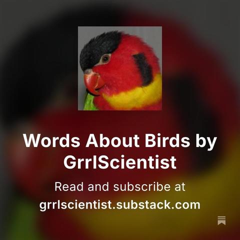 words about birds by GrrlScientist
read and subscribe at
grrlscientist.substack.com