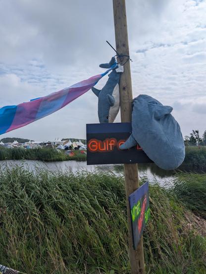 2 Blahaj and a trans flag attached to a gulf of Blahaj sign on a pole at why camp.