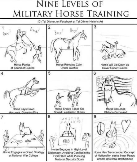 9-panel cartoon credited to Tal Dibner, on Facebook at Tal Dibner Historic Art.  Each panel depicts in simple pencil sketch the text described. 

Panel 1: Horse panics at sound of gunfire.

2: Horse remains calm under gunfire.

3.: Horse will lie down as cover under gunfire.

4: Horse lays down accurate covering fire. (The horse is rearing up and aiming a rifle.)

5: Horse takes on squad leadership duties. (The horse is with a group of soldiers on patrol.)

6: Horse assumes platoon command. (The horse is wearing a helmet in front of a waving American flag.)

7. Horse engages in grand strategy at National War College. (Horse is at a table with two thoughtful people moving markers around a map.)

8. Horse engages in high level diplomacy, avoiding conflict in the first place while pursuing national security goals. (Horse standing at a podium in front of a banner labeled "United Nations")

9. Horse has transcended concept of nationality, seeks inner peace amidst universal brotherhood. (Horse sitting in a yoga pose, flanked by symbols of love and peace.)