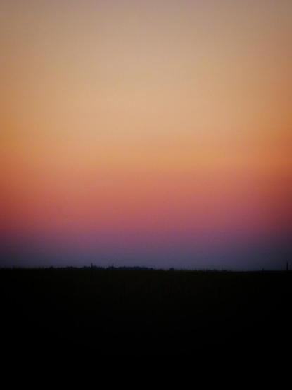 The bright colours at sunset over a rural field. The black of the ground sits in contrast to the yellow, orange and purples of the sky.