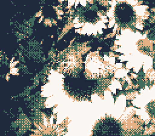 low resolution, pixelated photo: many sunflowers.