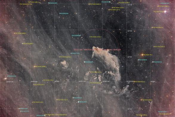 12-inch lacerta remote, NA, astrofotografie, astronomie, astronomy, astrophotography, cg11, cometary globule, hakos, hakos guest farm, ias, ias observatory, ias observatory hakos, khomas, namibia, sagittarius, world
