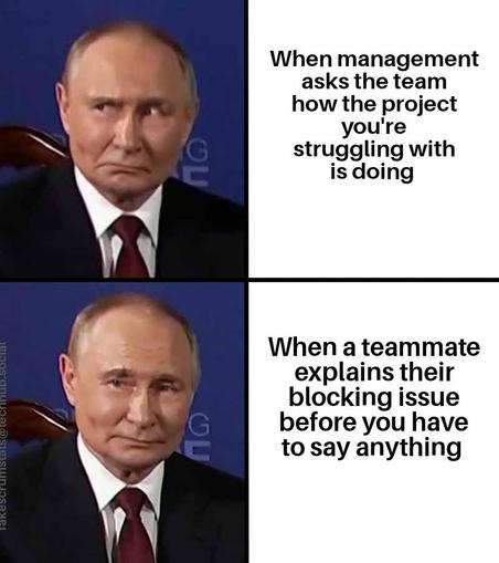 Two panels.

First panel: Putin looking upset and side eyed. Caption: When management asks the team how the project you're struggling with is doing

Second panel: Putin looking happier and straight ahead. Caption: When a teammate explains their blocking issue before you have to say anything