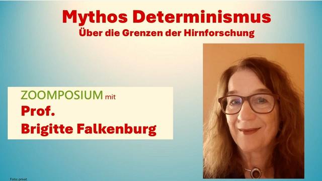 Thumbnail Zoomposium with Brigitte Falkenburg