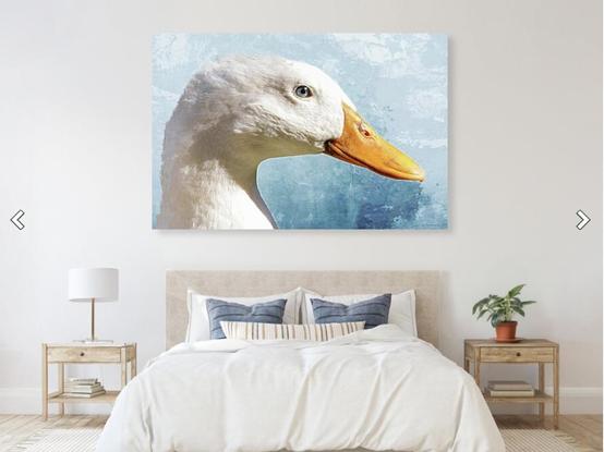 White pekin duck on muted blue watercolor in a bedroom setting.  Art by Sharon Cummings.
