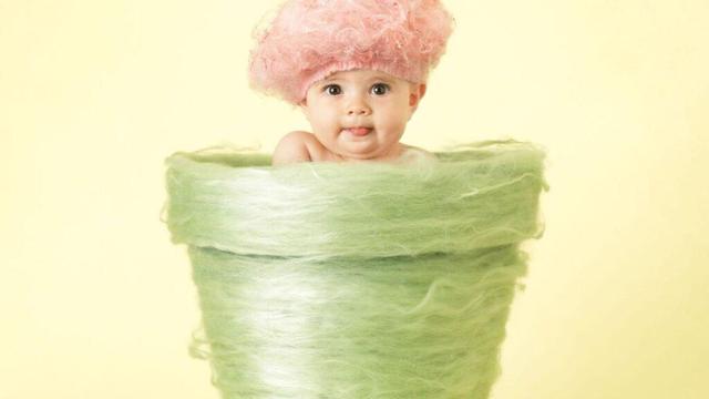 Ihre Fotos von Babys in Blumentöpfen machten Anne Geddes weltberühmt