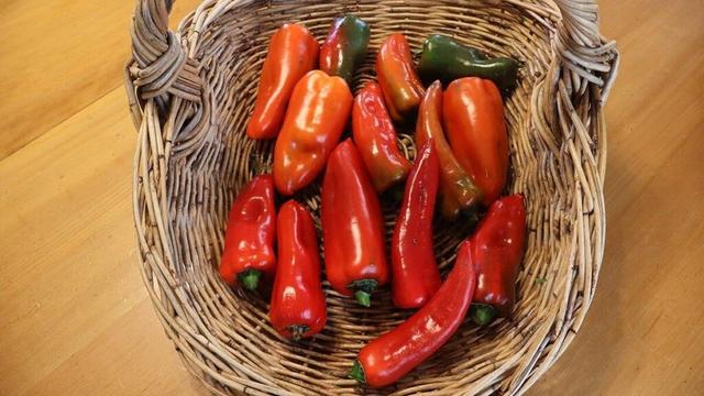 Kem Ormond’s vegetable garden: How to ready your garden for spring
