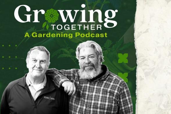 Ditch your riding mower, and other tips to better health through gardening - InForum