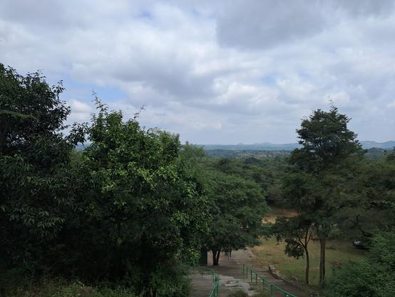 A view downhill after climbing the stairs for a bit. There are green railings on either side of the stairs and trees beyond them, but more densely to the left. At the bottom of the stairs, a medium sized neem tree can be seen growing out of concrete, with the silhouette of a shed just downhill of it.