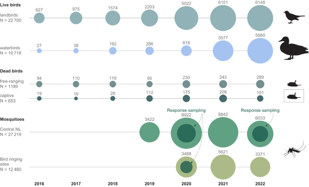 One Health approach uncovers emergence and dynamics of Usutu and West Nile viruses in the Netherlands