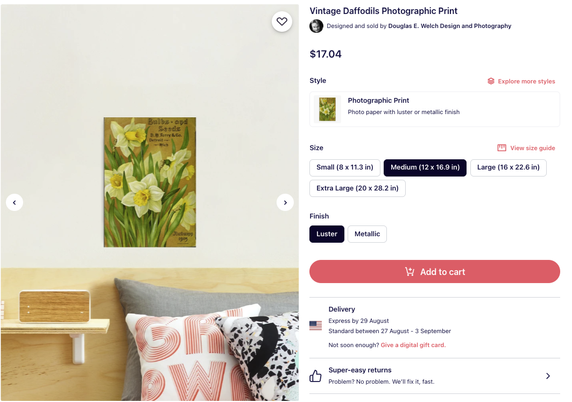 The image displays a product listing for a "Vintage Daffodils Photographic Print" designed and sold by Douglas E. Welch Design and Photography. The print features a vintage-style illustration of daffodils with a brown background and text that reads "Bulbs & Seed" and "A. Berry & Co. Better Seed." The price is $17.04, and the print is available in various sizes: Small (8 x 11.3 in), Medium (12 x 16.9 in), Large (16 x 22.6 in), and Extra Large (20 x 28.2 in). The finish options are Luster and Metallic. The product is set to be delivered by 29 August with standard delivery between 27 August and 3 September. The image also shows the print displayed on a wall above a bed with a wooden headboard, a gray pillow, and a pink pillow with the word "POWER" in red letters. A red "Add to cart" button is prominently featured, along with a note about super-easy returns.

Provided by @altbot, generated privately and locally using Ovis2-8B