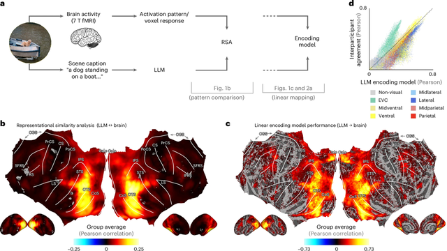 A mapping from LLM embeddings captures visual responses to natural scenes.
