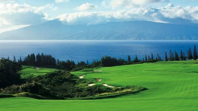 Kapalua to temporarily close Plantation and Bay courses in drought