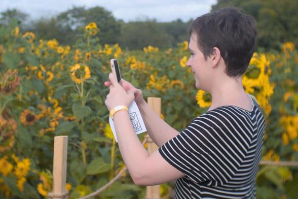 A picture of my wife taking a picture of the sunflower field. She is wearing a black dress with white horizontal stripes. She is surrounded by sunflowers in all directions. 

The lens produces an interesting swirly bokeh because it's cheap and terrible