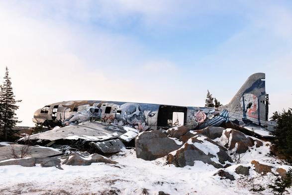 The mostly intact wreckage of an airplane rests at the top of a rocky ridge surrounded by snow and boreal trees. Painted on the sides of the airplane in pastel colours are skeletons, pink flowers, and a snowy owl. Soft sunrise light illuminates misty clouds and pale blue sky overhead.