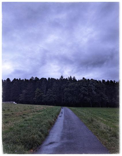 A road leads through some meadows and seems to end at the forest in the background.