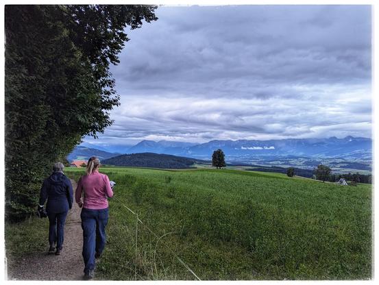 Two people walk along the edge of a forest. The view opens up over a valley. Low clouds.