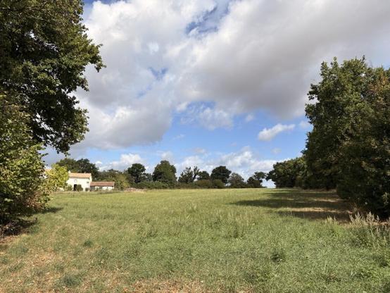 We finally closed on our dream property!