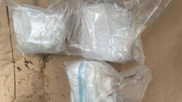 NZ drug courier Melissa Lee Rodgers liable for deportation from Western Australia as a 501