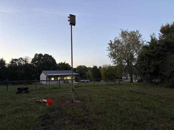 Just put my bat house up!