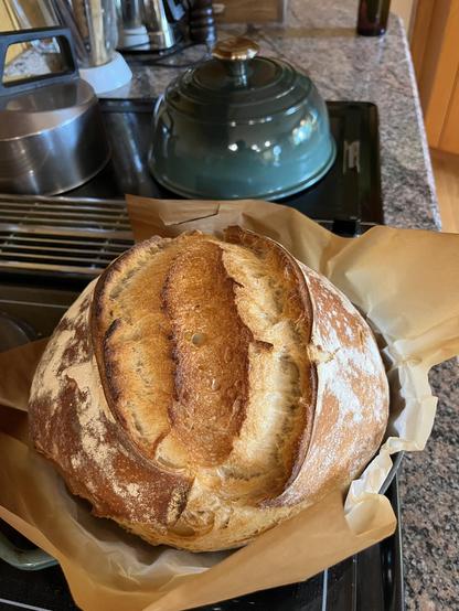 Unbelievably crusty sourdough loaf in foreground. Top of the teal le cruset bread dome behind it.