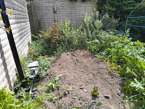 An raised earth bed with no border, partly overgrown with weeds.