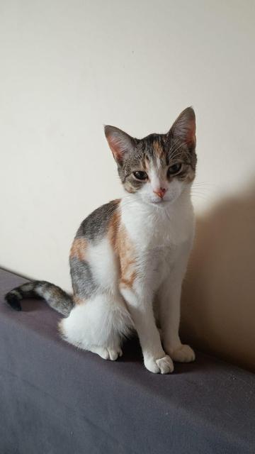 6 months old Yuki