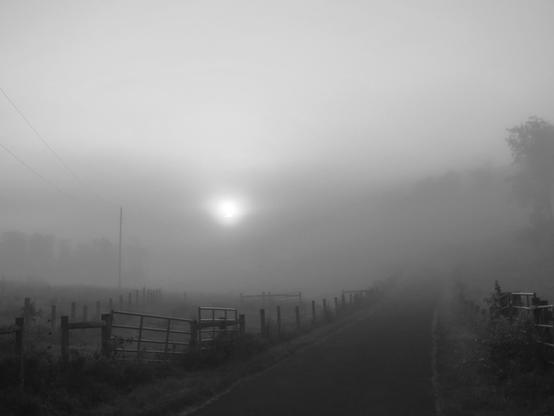 The sun rises through heavy fog in this photograph of a country lane dividing fields. Fences and gates line the road on either side. The distant landscape including trees and telephone poles is obscured by the fog. The metal fence gates are partially illuminated by the sunlight as it begins to break through.
