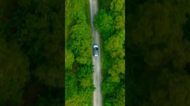 Wild Roads: Clean Air #Shorts