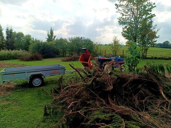 A big pile of gnarly thuja branches in the foreground. Behind, a car trailer attached to the back of a woodchipper that is in turn attached to the rear three point linkage of a small blue tractor. On the horizon some rain clouds are forming and the sun has disappeared.