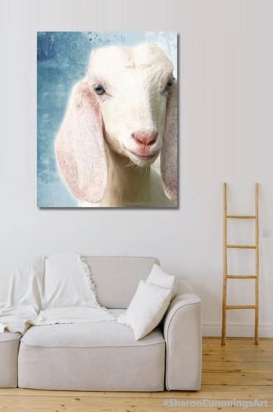White baby goat on soft blue watercolor by artist Sharon Cummings.