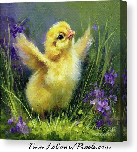 This is a canvas of a sweet little chick with it's wings wide open standing in some little wild voilet flowers.