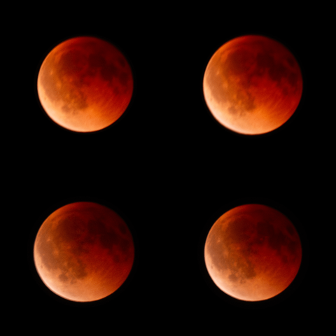 Blood moon during total lunar eclipse, the moon glowing deep red against a dark night sky. Four photos showing changing phases of the eclipse with more and more bright light in the bottom left side of the moon.