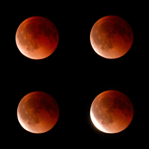 Blood moon during total lunar eclipse, the moon glowing deep red against a dark night sky. Four photos showing changing phases of the eclipse with more and more bright light in the bottom left side of the moon.