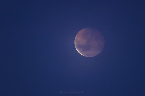 Der Mond bei totaler Finsternis.