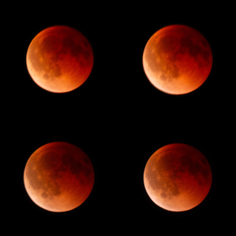 Blood moon during total lunar eclipse, the moon glowing deep red against a dark night sky. Four photos showing changing phases of the eclipse with more and more bright light in the bottom left side of the moon.