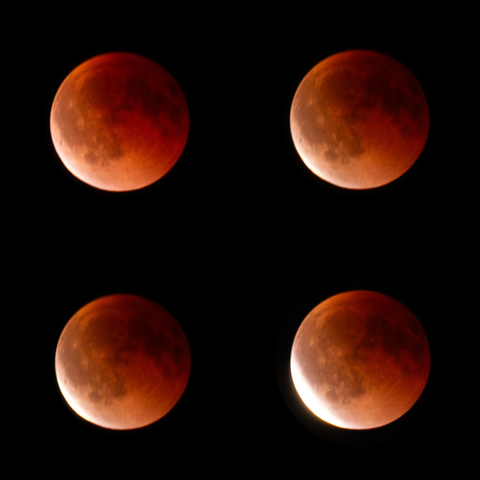 Blood moon during total lunar eclipse, the moon glowing deep red against a dark night sky. Four photos showing changing phases of the eclipse with more and more bright light in the bottom left side of the moon.