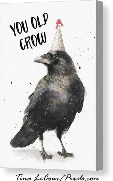 This is canvas of a funny crow dressed in a birthday hat with the text that says  "You Old Crow" against a white background. Perfect for birthday fun!!