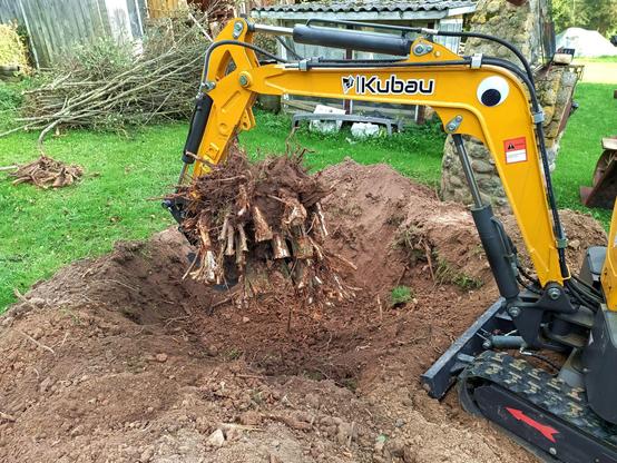 The bush is now hovering in the air, grabbed triumphantly in the excavators bucket. There's a small pile of chopped or broken off roots on the left. The excavator is keeping a googly eye on the trunk.