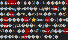 Bytes in text format looks unclear but one ⭐ emoji is clear in the middle.
