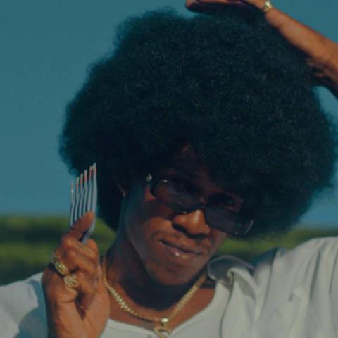 cover of the album "Afros In The Wind" by Seafood Sam