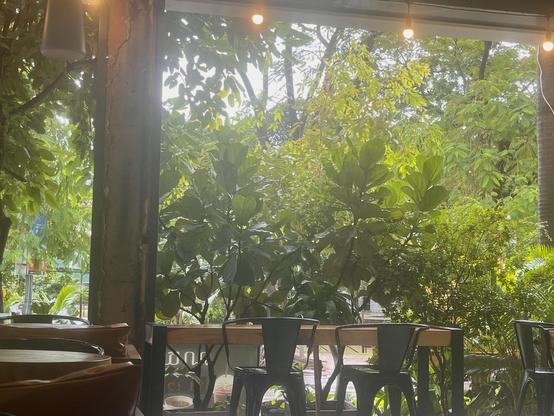 Noi cafe today. Love it here