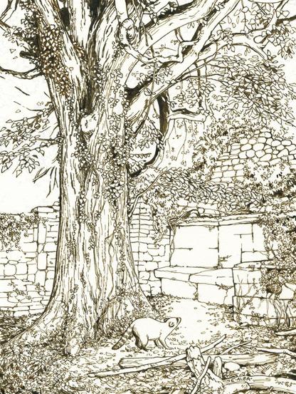 Sepia ink illustration of a large tree growing within ruins of a stone building. There is an entity sitting on a bench in the ruins, and a raccoon is approaching it with wariness.